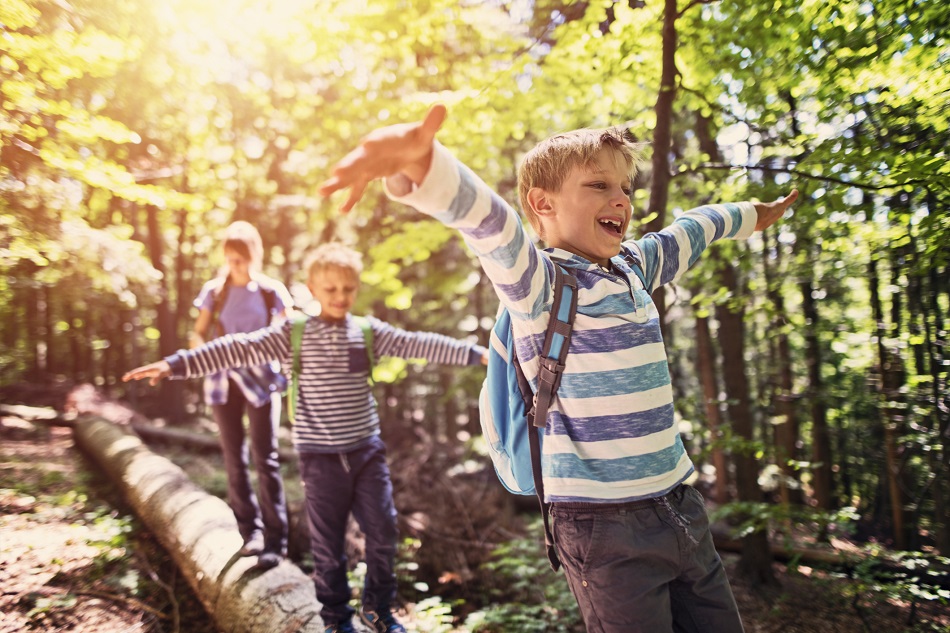 Happy kids hiking in a forest. Children are walking on a faller tree trunk, balancing with arms outstretched.